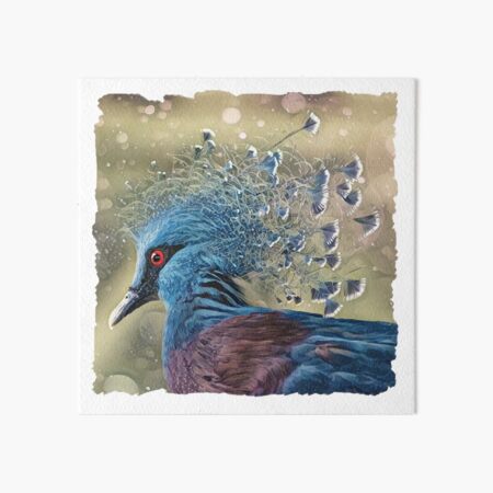 Item preview, Crowned Pigeon designed and sold by Heathermarie321.