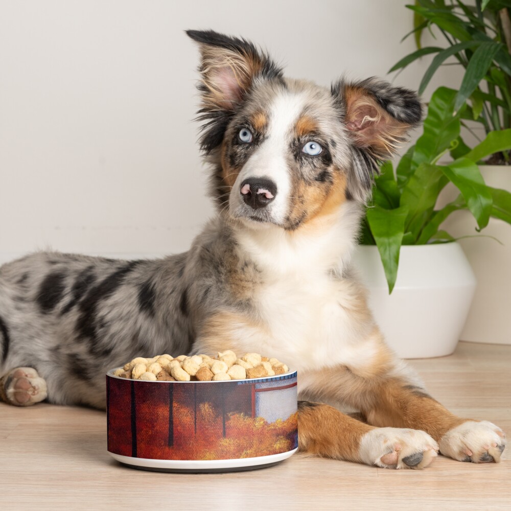 Item preview, Pet Bowl designed and sold by MalMakes.