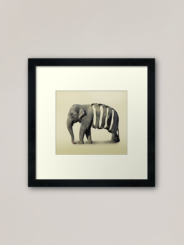 elephant print ribbon