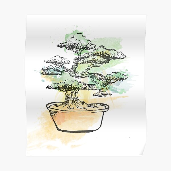 Bonsai Poster / Japanese Art Bonsai Tree Illustration Bonsai Tree Poster Und Kunst Teepublic De : Pics of bonsai pots with some basic information about them.