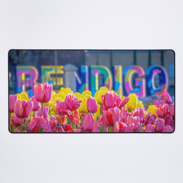 Item preview, Bendigo Tulip Festival 2022 designed and sold by Steven Jodoin.