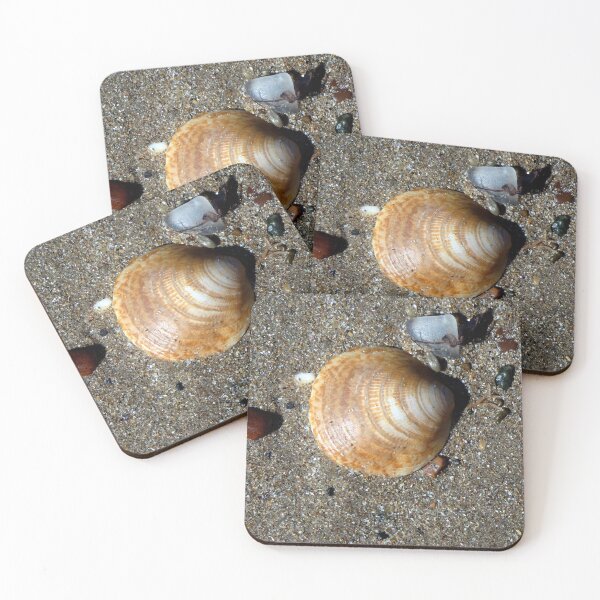 Item preview, shell designed and sold by KathleenDawson.