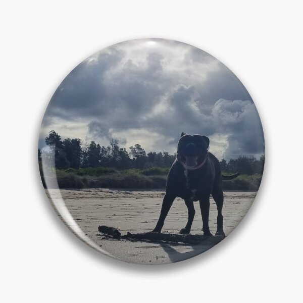 Artikelvorschau, Staffy am Strand entworfen und verkauft von 4wdterra.