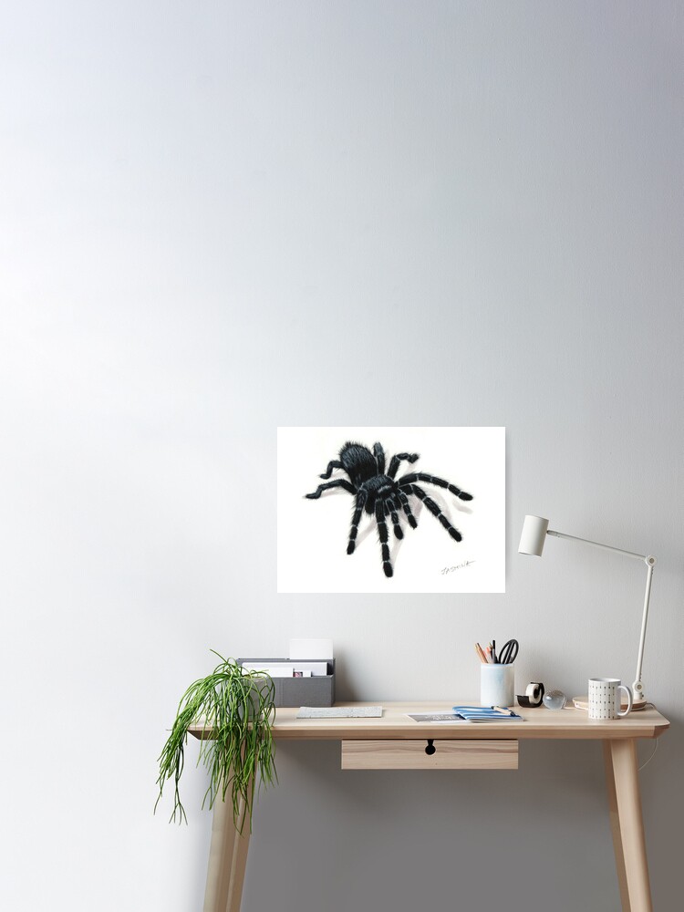 Dibujos animados simples de una araña negra colgante ilustraci  vector de  stock 3066320  Crushpixel