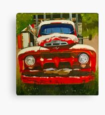 Fred Canvas Print