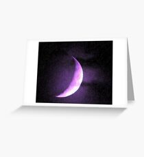 Lavender In Moderation Greeting Card