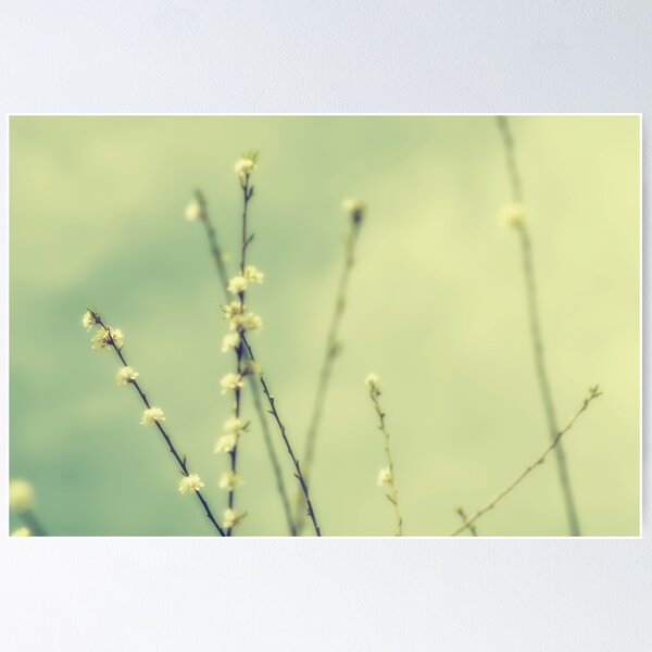 Item preview, Breezy designed and sold by StarlingPhotos.