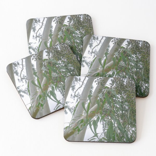 Item preview, Gum Leaves, Gum Nuts and a Ghost Gum Tree designed and sold by Steven Jodoin.