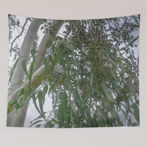 Item preview, Gum Leaves, Gum Nuts and a Ghost Gum Tree designed and sold by Steven Jodoin.