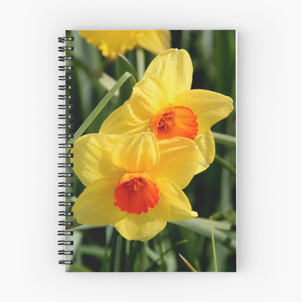 Item preview, Spiral Notebook designed and sold by CYBER.
