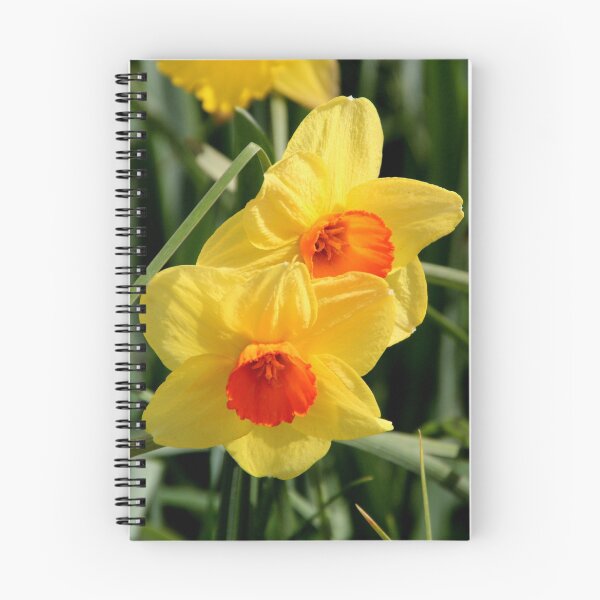 Item preview, Floriade - Hello Spring designed and sold by Sally Haldane.