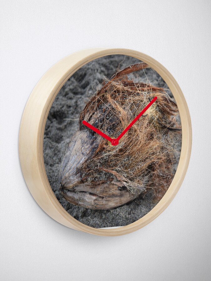 Alternate view of A sad coconut Clock