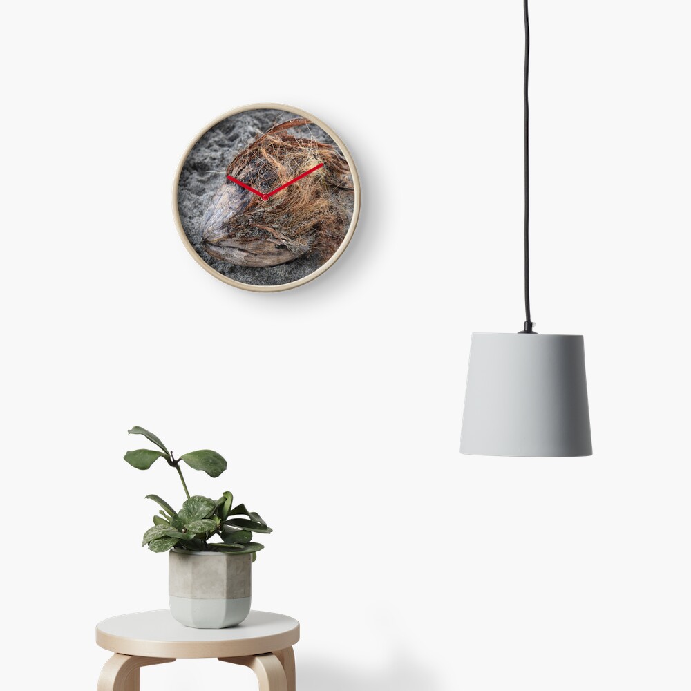 A sad coconut Clock