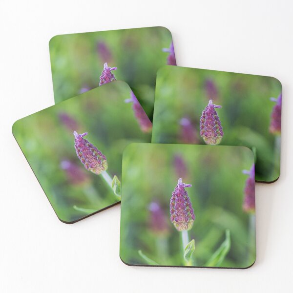 Item preview, Pink Lavender Flower Lattice  designed and sold by Joy Watson - Natural Light Photography .