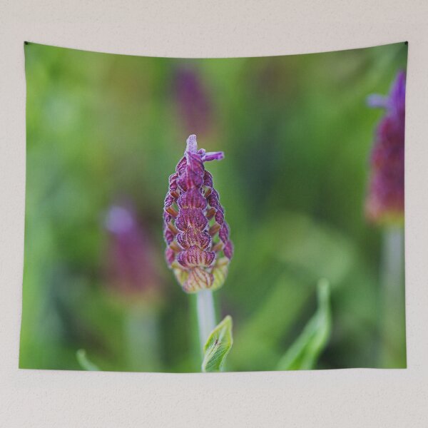 Item preview, Pink Lavender Flower Lattice  designed and sold by Joy Watson - Natural Light Photography .