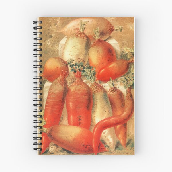 Item preview, Vintage Vegetable Seed Catalog Paris 1800s designed and sold by Sasha Art Gallery.