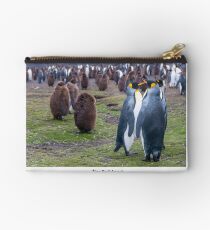 King Penguins on the Falkland Islands Studio Pouch