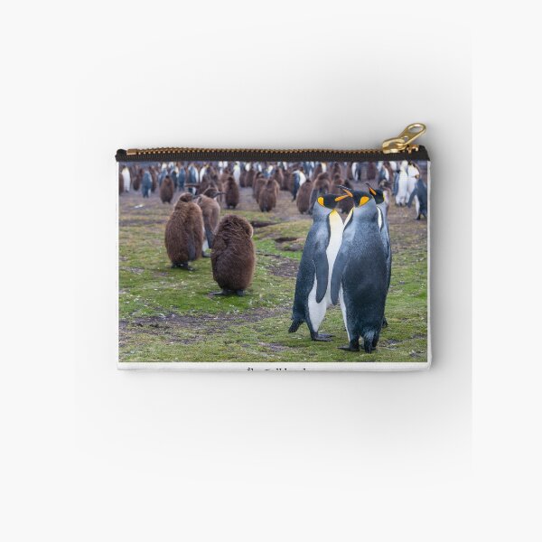 Item preview, King Penguins on the Falkland Islands designed and sold by Jacinthe Brault.