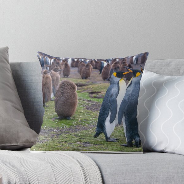 Item preview, King Penguins on the Falkland Islands designed and sold by Jacinthe Brault.