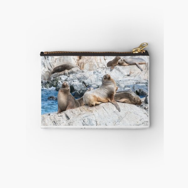 Item preview, Sea lions designed and sold by Jacinthe Brault.