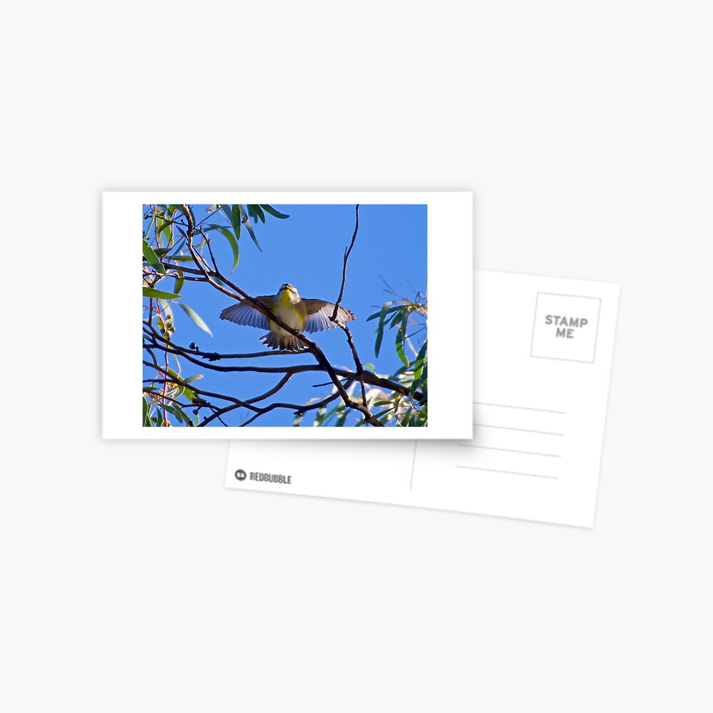 Item preview, Postcard designed and sold by tasmanianartist.