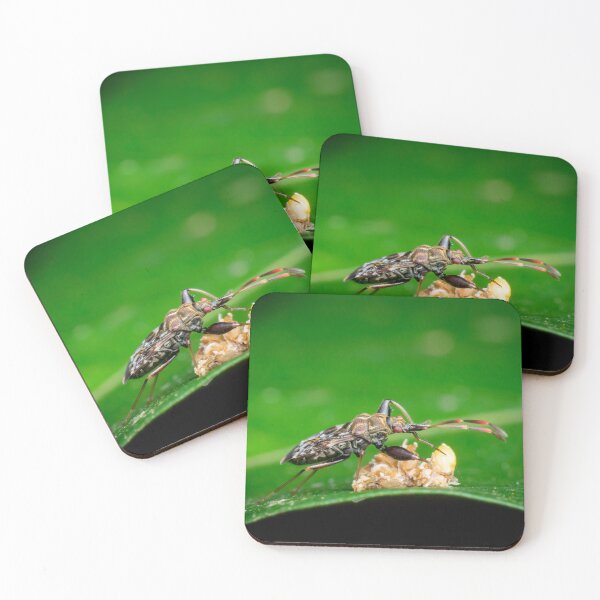 Item preview, Taste tasting designed and sold by AvonPerception.