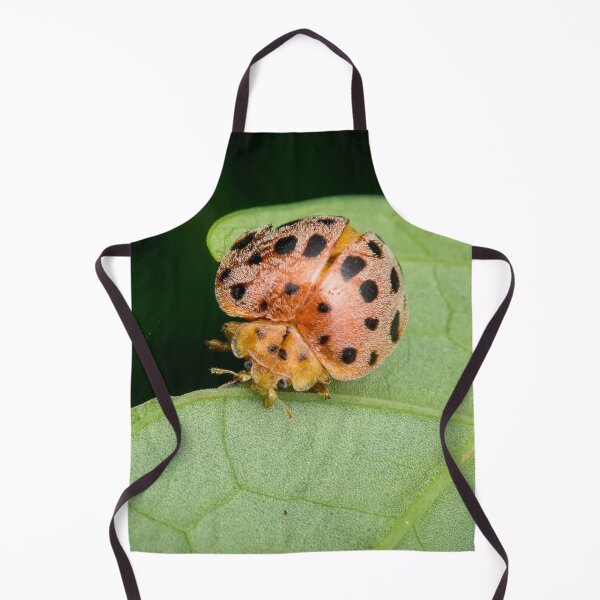 Item preview, Orange polka dot furball designed and sold by AvonPerception.