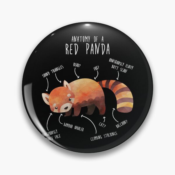 Item preview, Red Panda Animal Anatomy designed and sold by Clara Hollins.