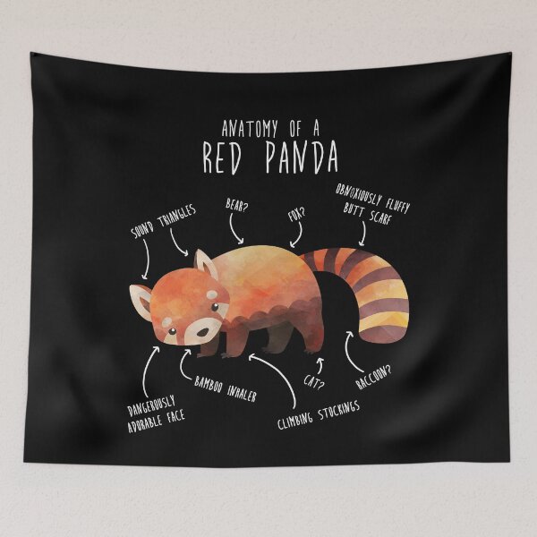 Item preview, Red Panda Animal Anatomy designed and sold by Clara Hollins.