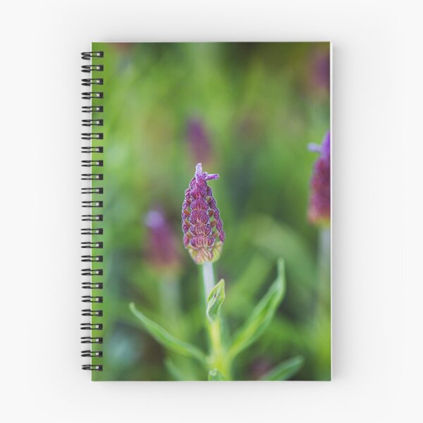 Item preview, Pink Lavender Flower Lattice  designed and sold by Joy Watson - Natural Light Photography .