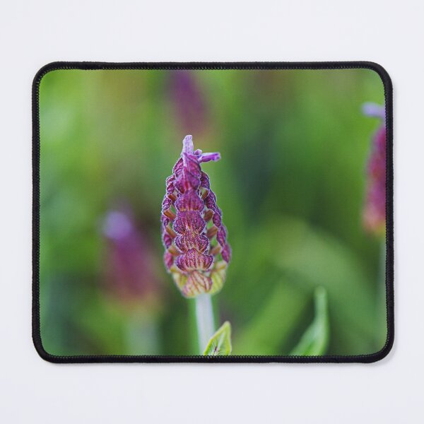 Item preview, Pink Lavender Flower Lattice designed and sold by Joy Watson - Natural Light Photography .