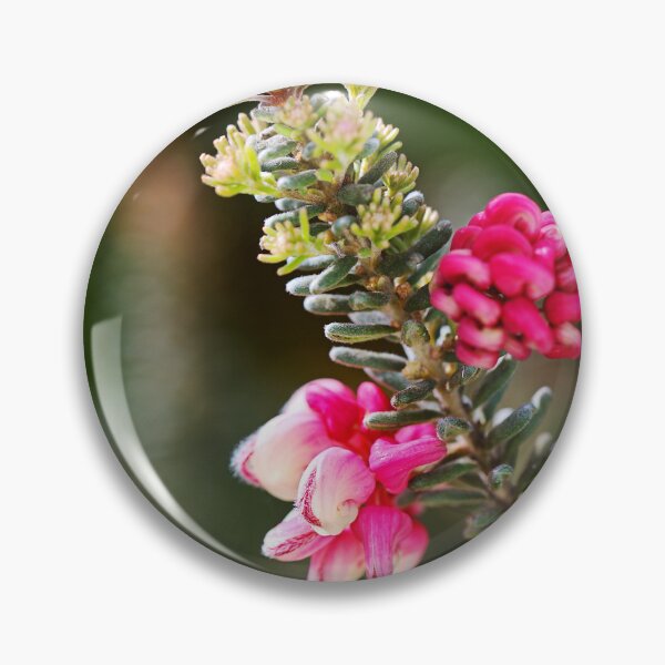 Item preview, Grevillea Flowers Pink Spring  designed and sold by Joy Watson - Natural Light Photography .