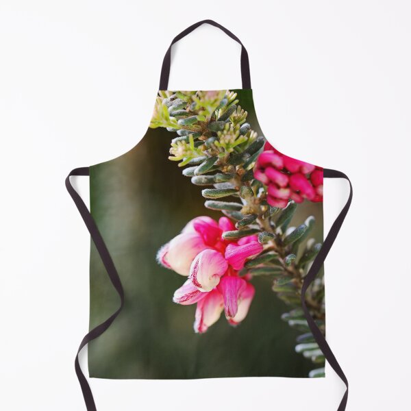 Item preview, Grevillea Flowers Pink Spring designed and sold by Joy Watson - Natural Light Photography .