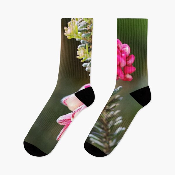 Item preview, Grevillea Flowers Pink Spring  designed and sold by Joy Watson - Natural Light Photography .