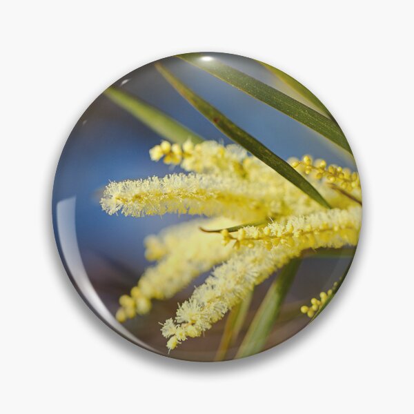 Item preview, Golden Wattle Flowers Fingers designed and sold by Joy Watson - Natural Light Photography .