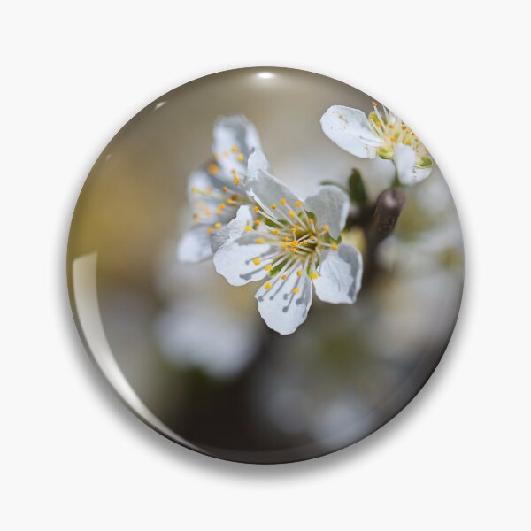 Item preview, Blossom Spring She Hints  designed and sold by Joy Watson - Natural Light Photography .