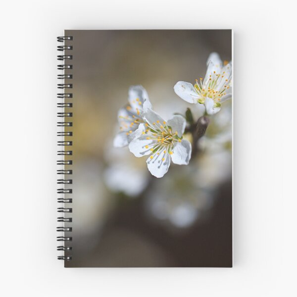 Item preview, Blossom Spring She Hints  designed and sold by Joy Watson - Natural Light Photography .