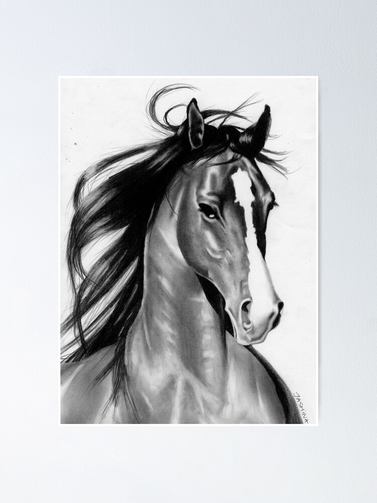 Horse drawn Black pencil drawing. 20 x 26.5 cm | Drouot.com