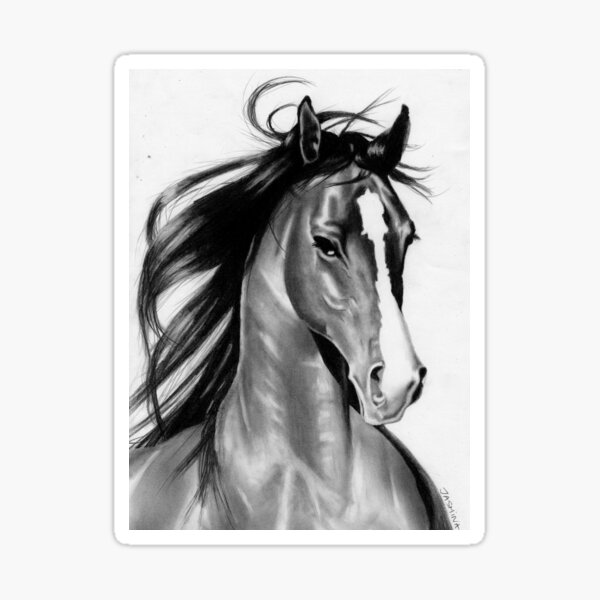 A Beautiful Arabian Horse - Pencil Drawing Sticker