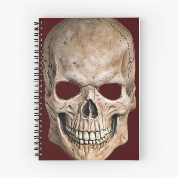 Item preview, Human Skull designed and sold by Slinky-Reebs.