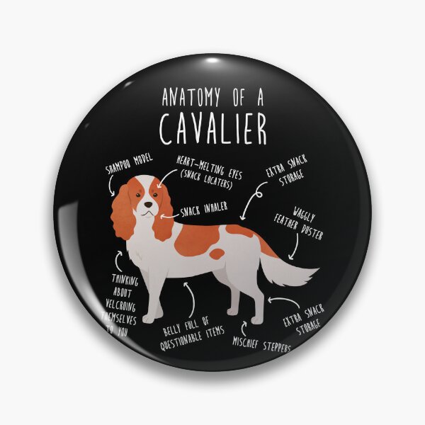 Artikelvorschau, Blenheim Cavalier King Charles Spaniel Hundeanatomie entworfen und verkauft von Clara Hollins.
