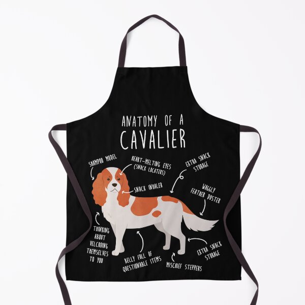 Artikelvorschau, Blenheim Cavalier King Charles Spaniel Hundeanatomie entworfen und verkauft von Clara Hollins.