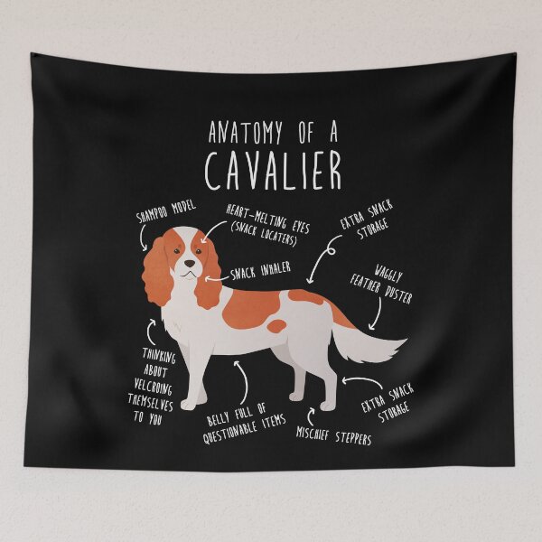 Item preview, Blenheim Cavalier King Charles Spaniel Dog Anatomy designed and sold by Clara Hollins.