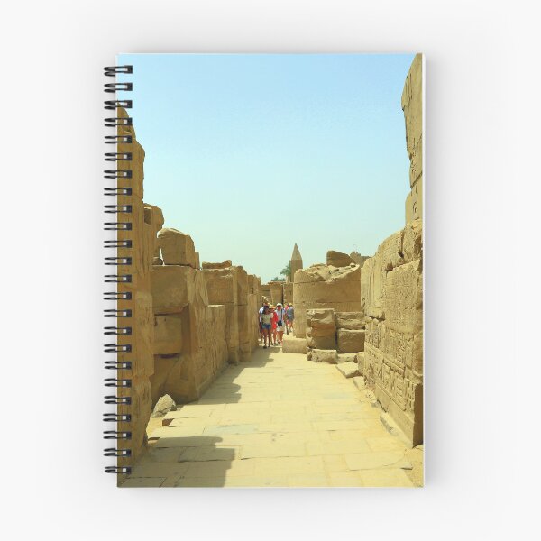 Item preview, Karnak Temple designed and sold by annalisa56.
