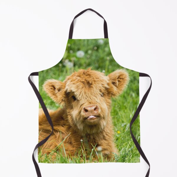 Cheeky Moo, Highland Cow Apron for Sale by Jane Stanley