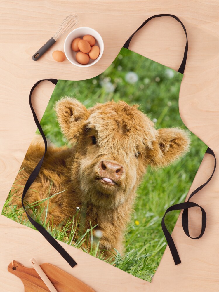 Cheeky Moo, Highland Cow Apron for Sale by Jane Stanley