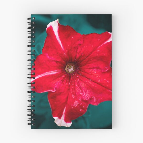 Item preview, Red Petunia Flower designed and sold by hoagster.