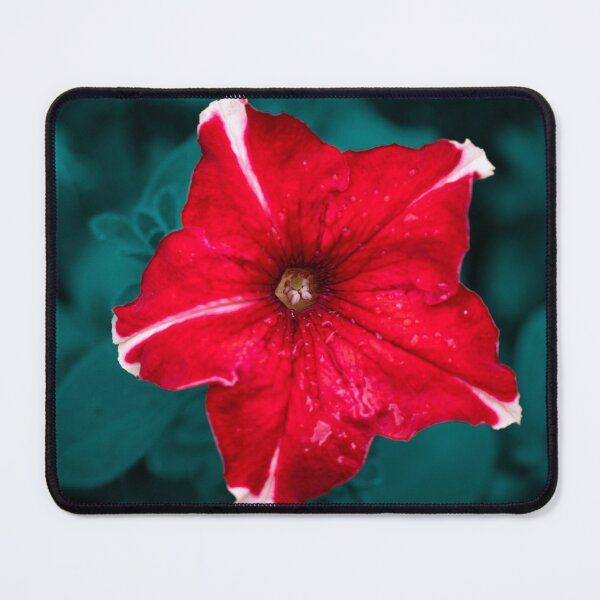 Item preview, Red Petunia Flower designed and sold by hoagster.
