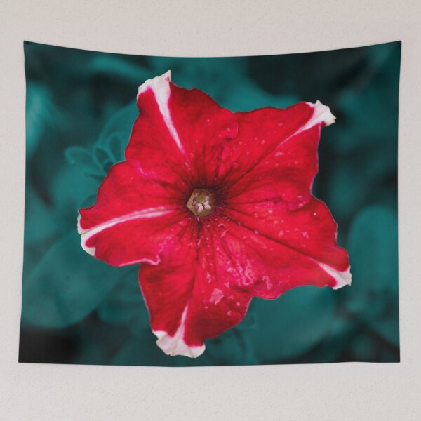 Item preview, Red Petunia Flower designed and sold by hoagster.