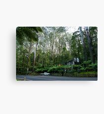 William Ricketts Sanctury, Mount Dandenong, Victoria Canvas Print